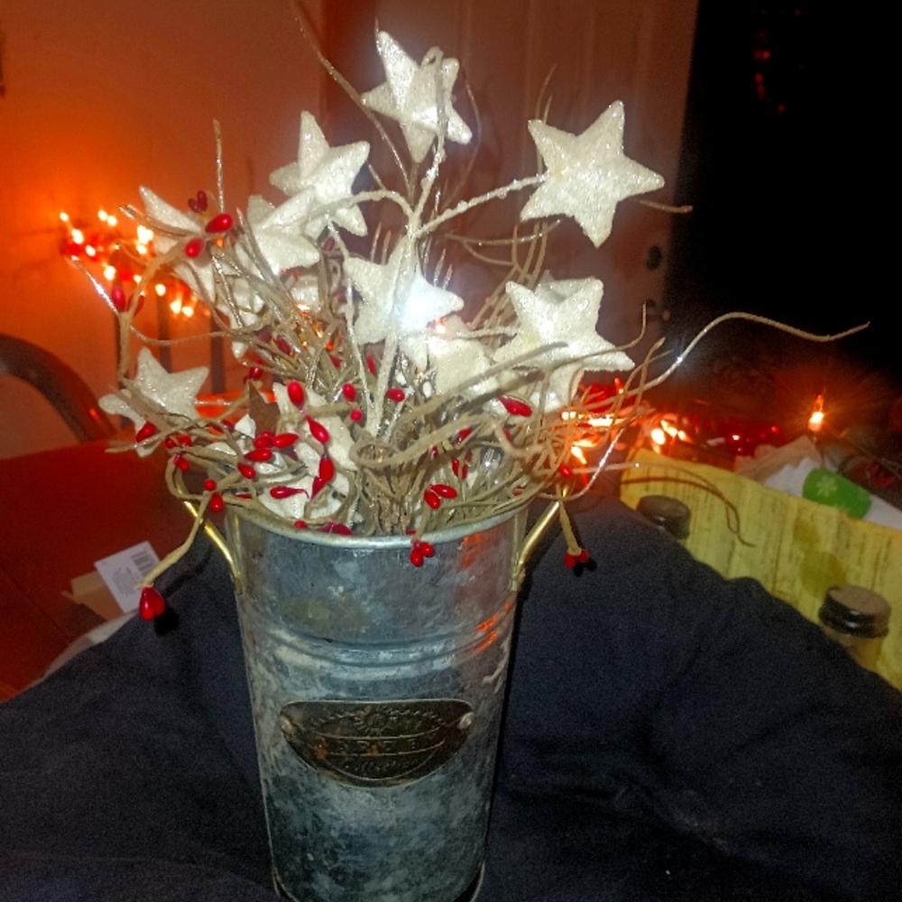 Primitive decor - Picture 2 of 2